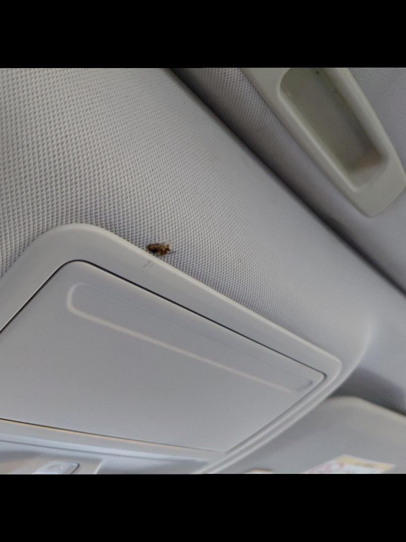 فورد توروس TREND-EB 2023 image