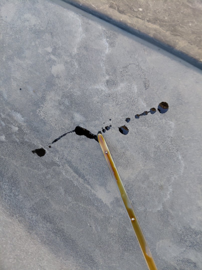 Toyota Corolla XLI  2024 image