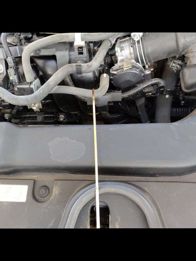 تويوتا كورولا XLI EXE  2024 image