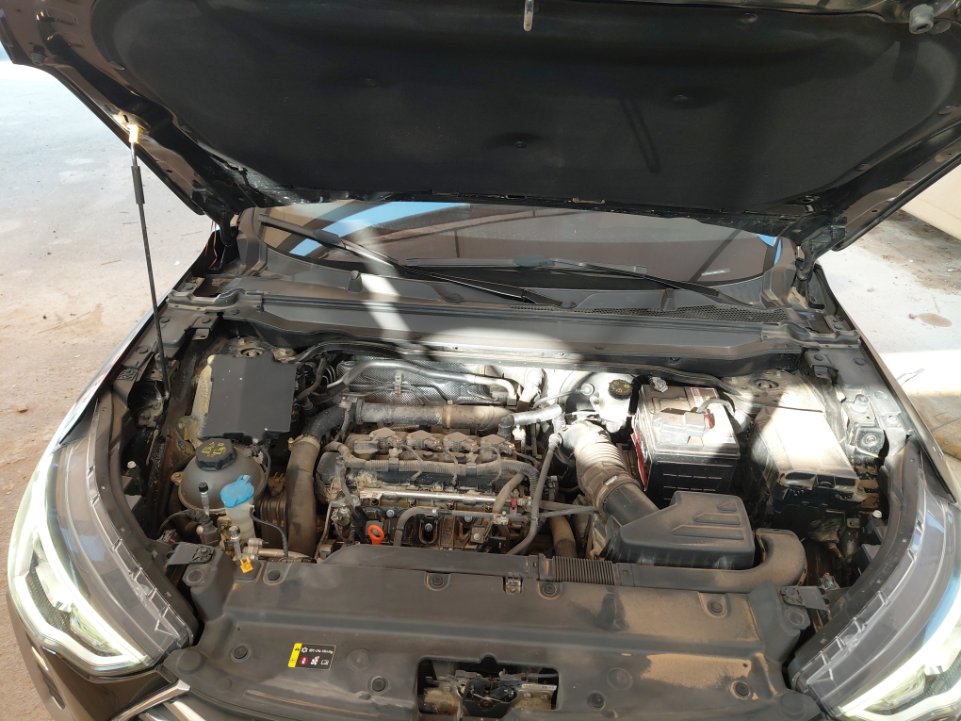 هافال جوليان رياضيه - أساسي 2024 image