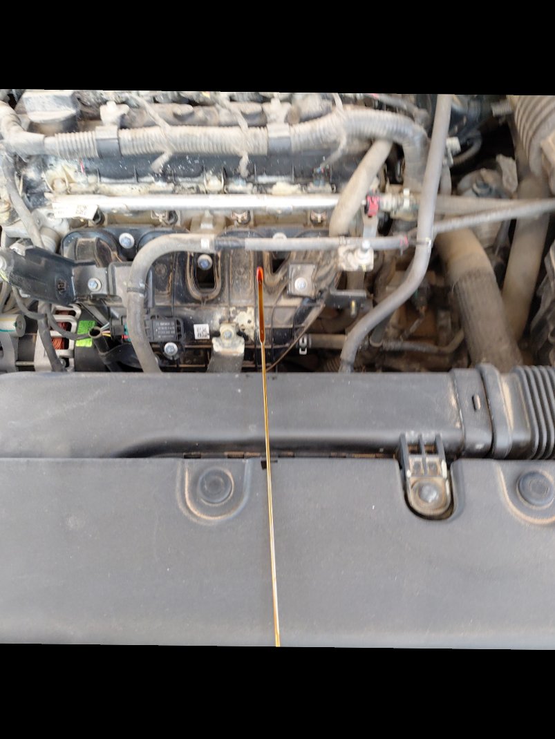 هافال جوليان رياضيه - أساسي 2024 image