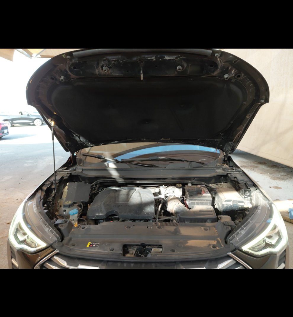 هافال جوليان رياضيه - أساسي 2024 image