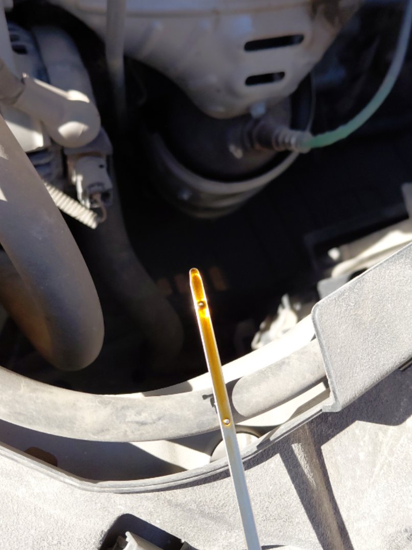 Toyota Yaris Y 2024 image