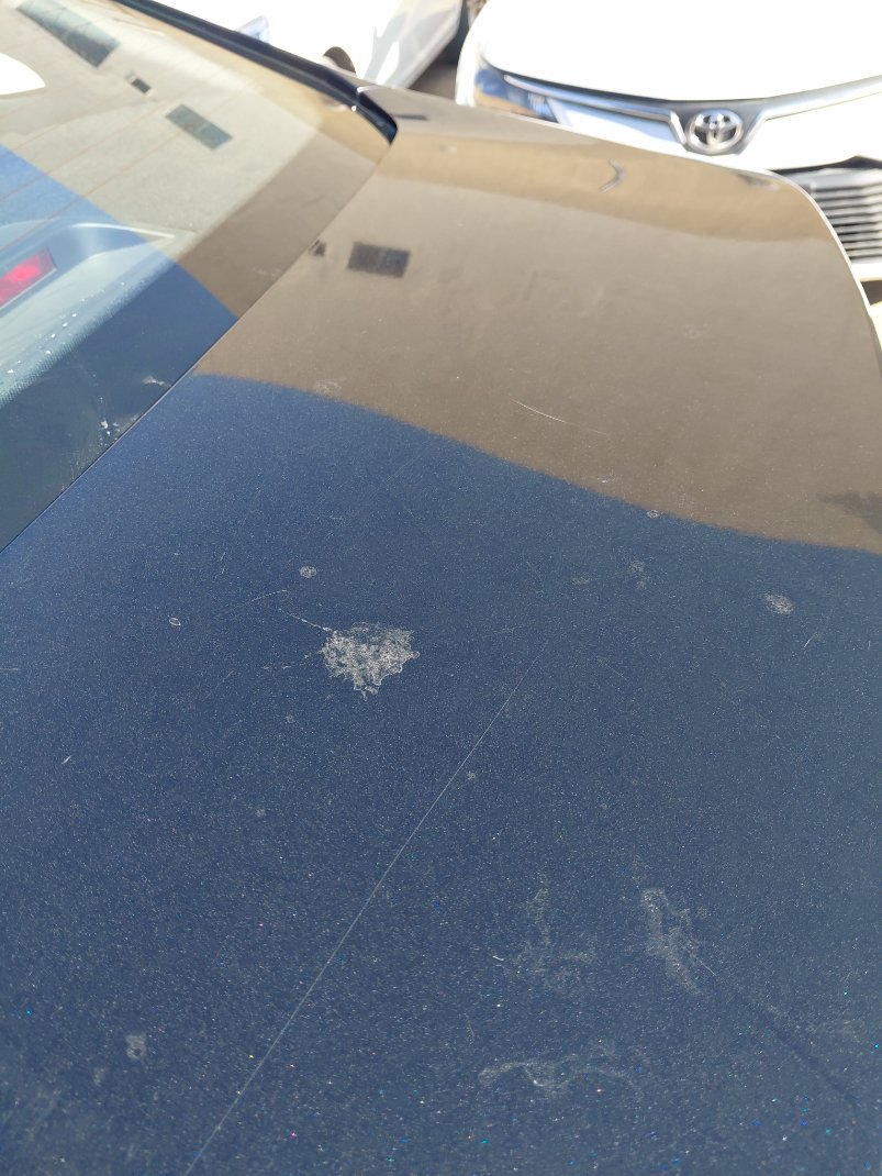 شانجان ايدو بلس LIMITED 2023 image