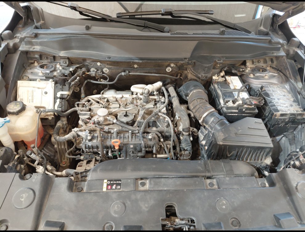 هافال دارجو رياضيه  2023 image