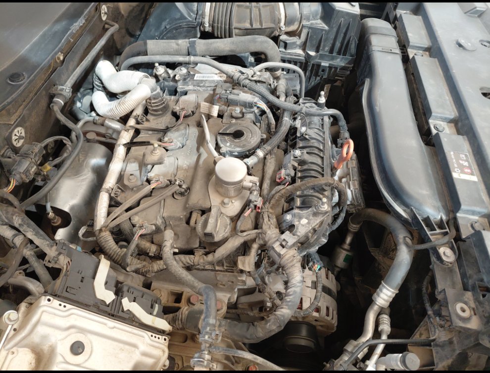 هافال دارجو رياضيه  2023 image