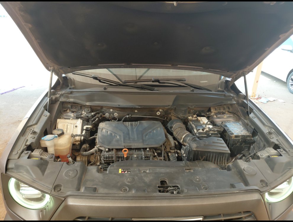 هافال دارجو رياضيه  2023 image