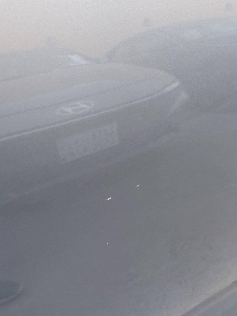 Toyota Corolla XLI 2024 image