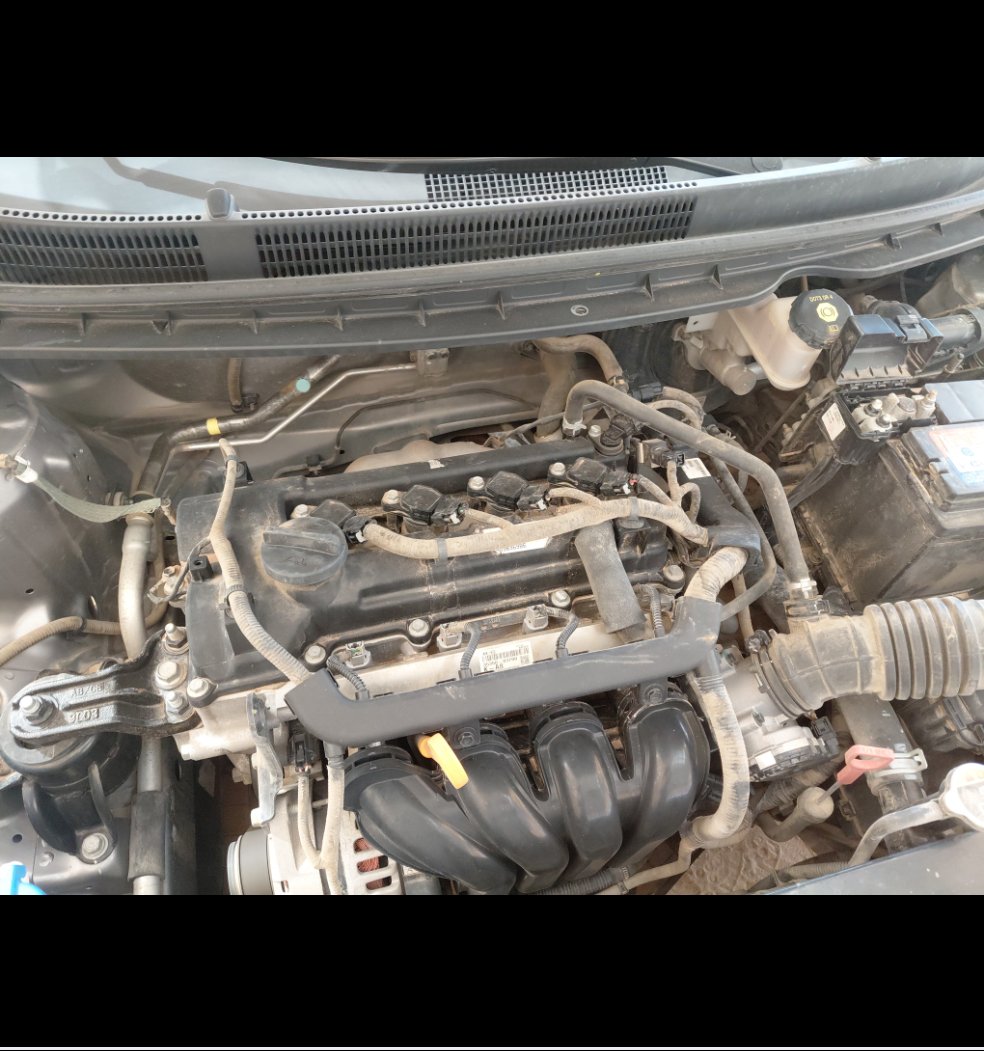 KIA Pegas STD  2020 image