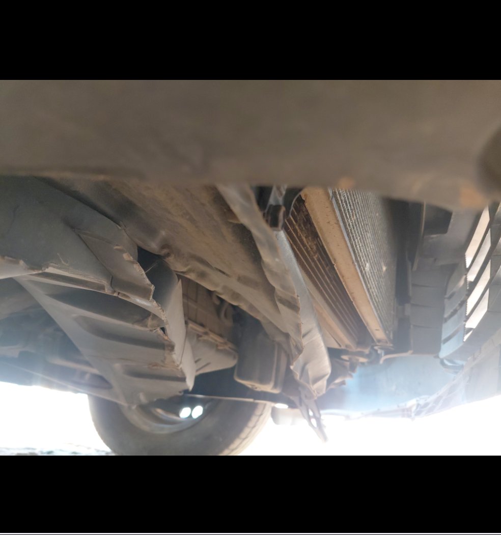 KIA Pegas STD  2020 image