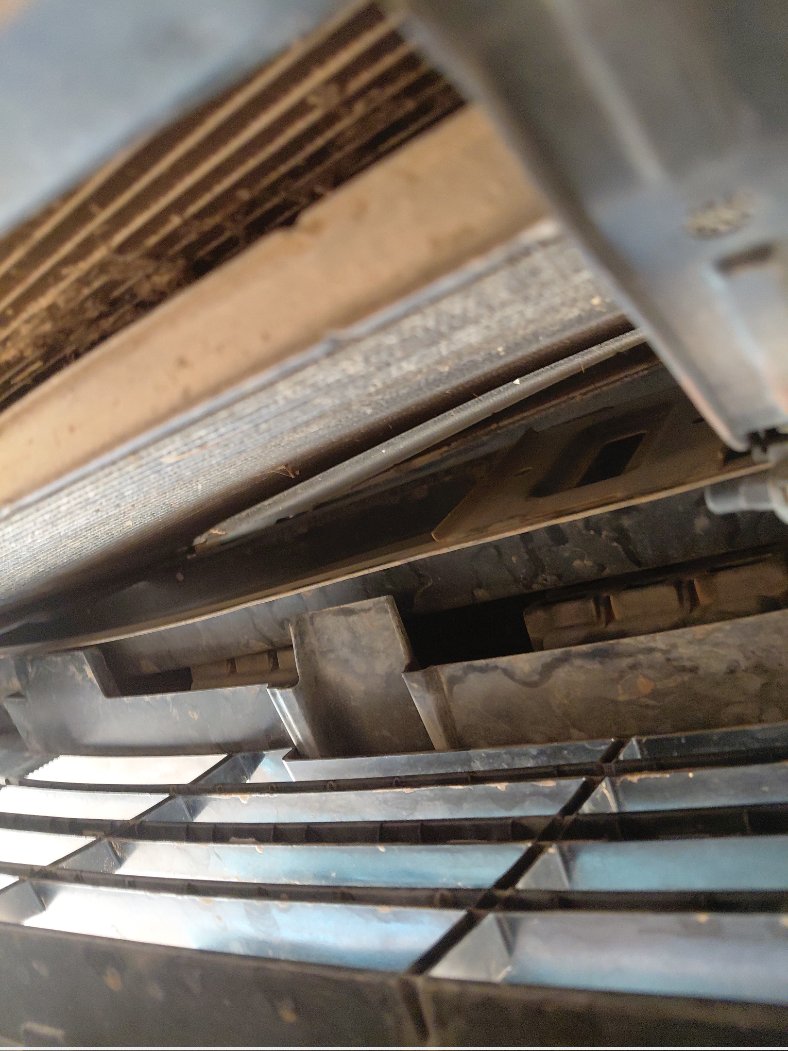 KIA Pegas STD  2020 image