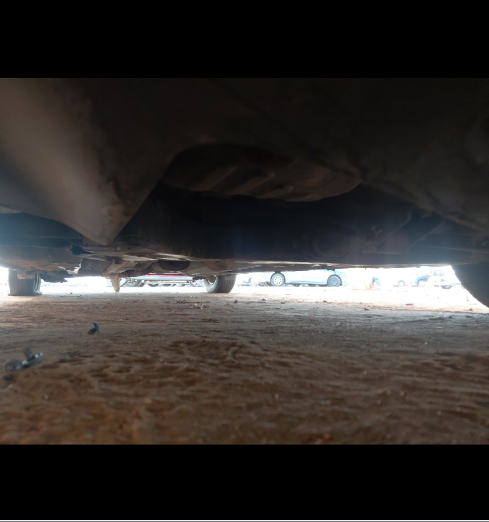 KIA Pegas STD  2020 image