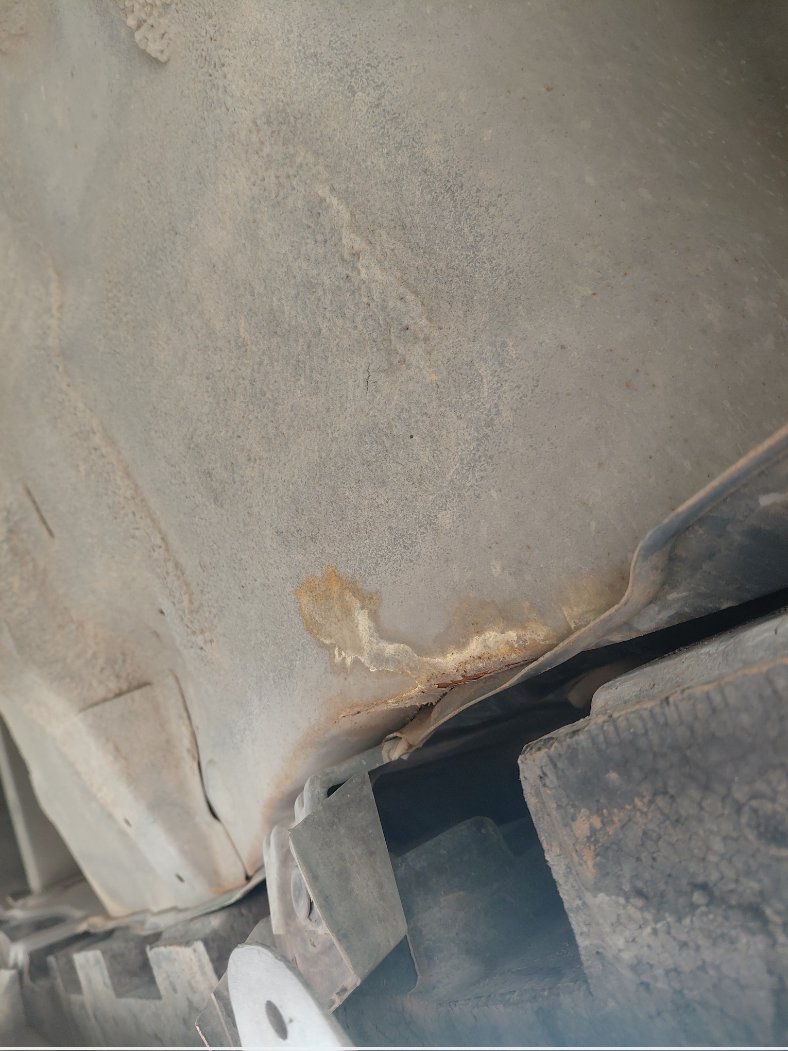 KIA Pegas STD  2020 image