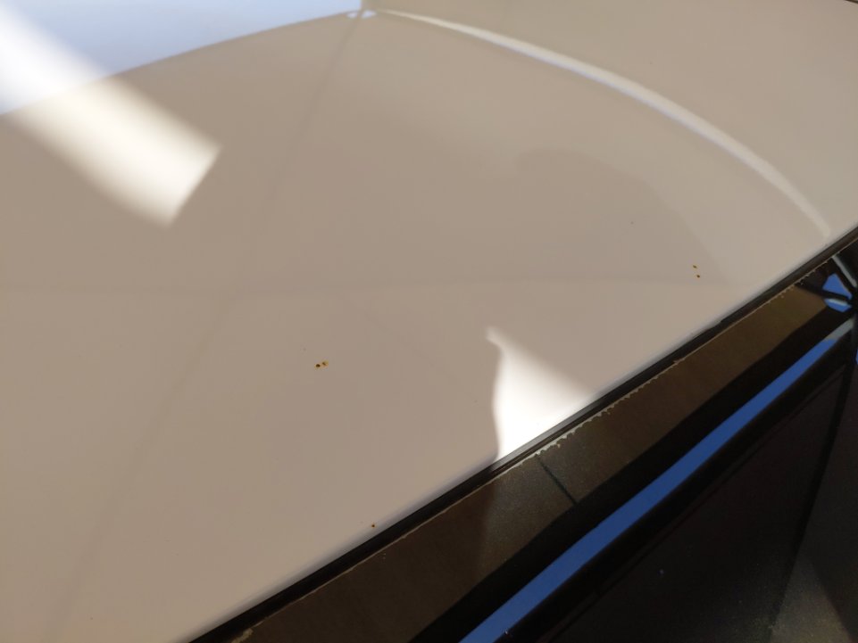 هيونداي أكسنت FLEET  2020 image