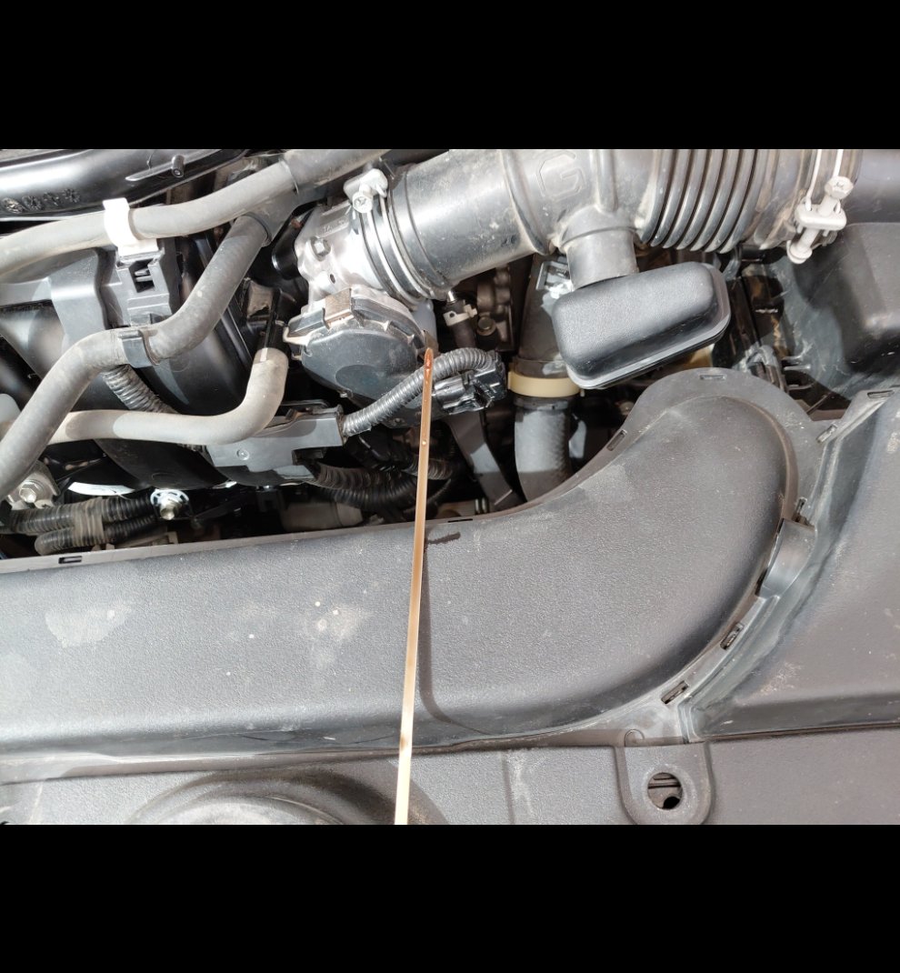 Toyota Corolla XLI 2021 image