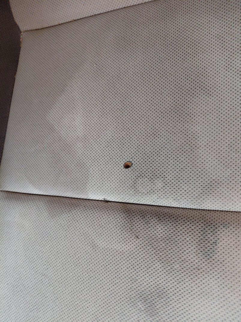 Toyota Corolla XLI 2021 image