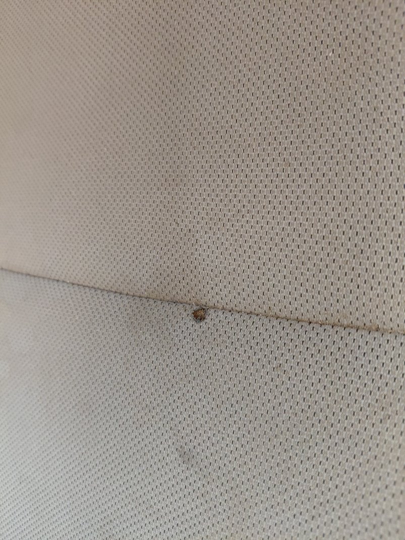 Toyota Corolla XLI 2021 image