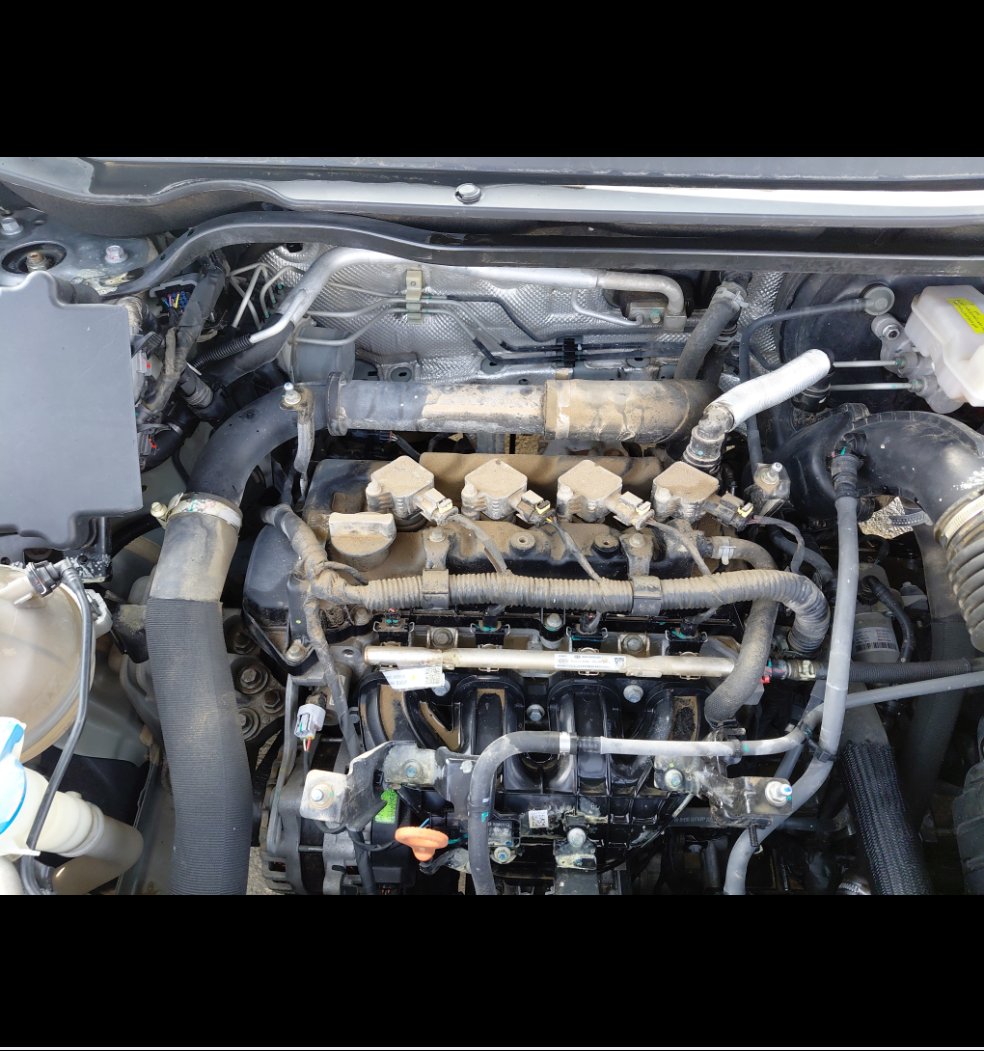 هافال جوليان STD 2022 image