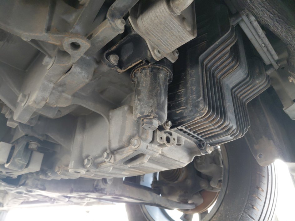 هافال جوليان STD 2022 image