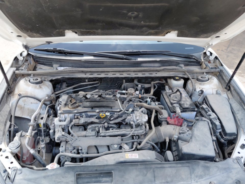 Toyota Camry LE STD 2024 image