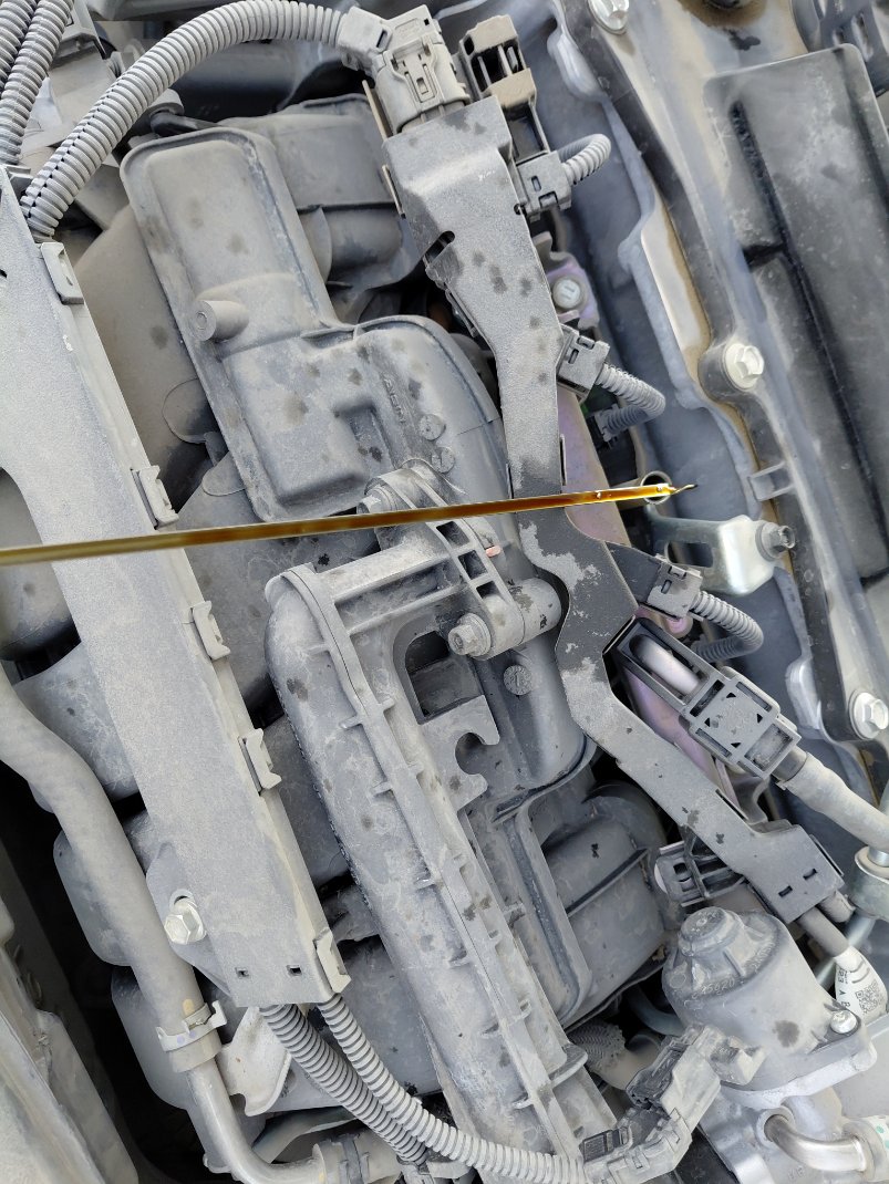 Toyota Camry LE STD 2024 image