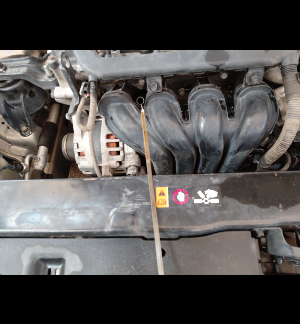 KIA Pegas LX 2021 image