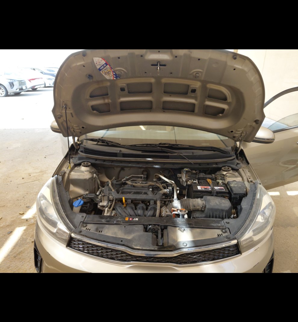 KIA Pegas LX 2021 image