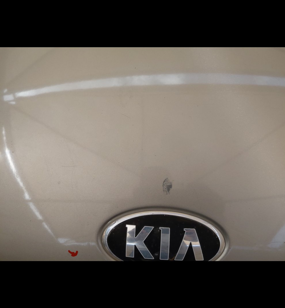 KIA Pegas LX 2021 image