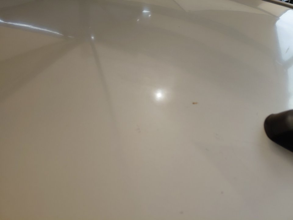 KIA Pegas LX 2021 image