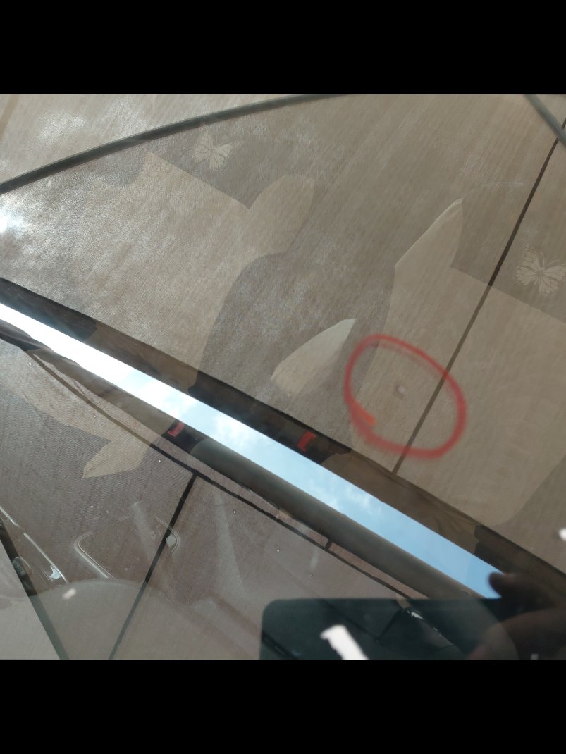 KIA Pegas LX 2021 image