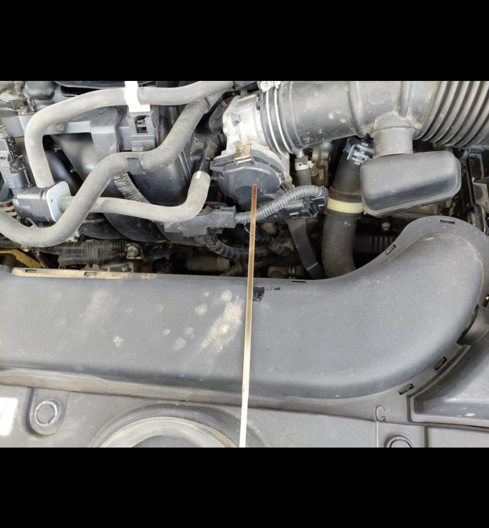 Toyota Corolla XLI -  2021 image