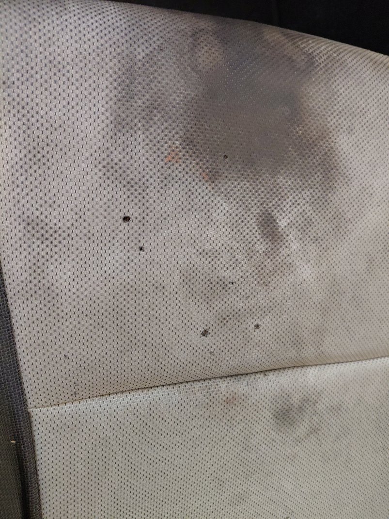 Toyota Corolla XLI -  2021 image