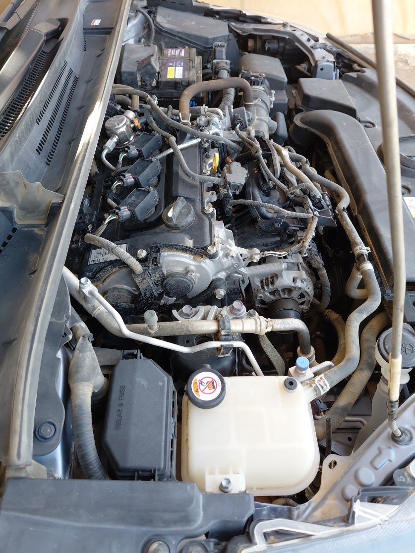 تويوتا كورولا XLI EXE  2022 image