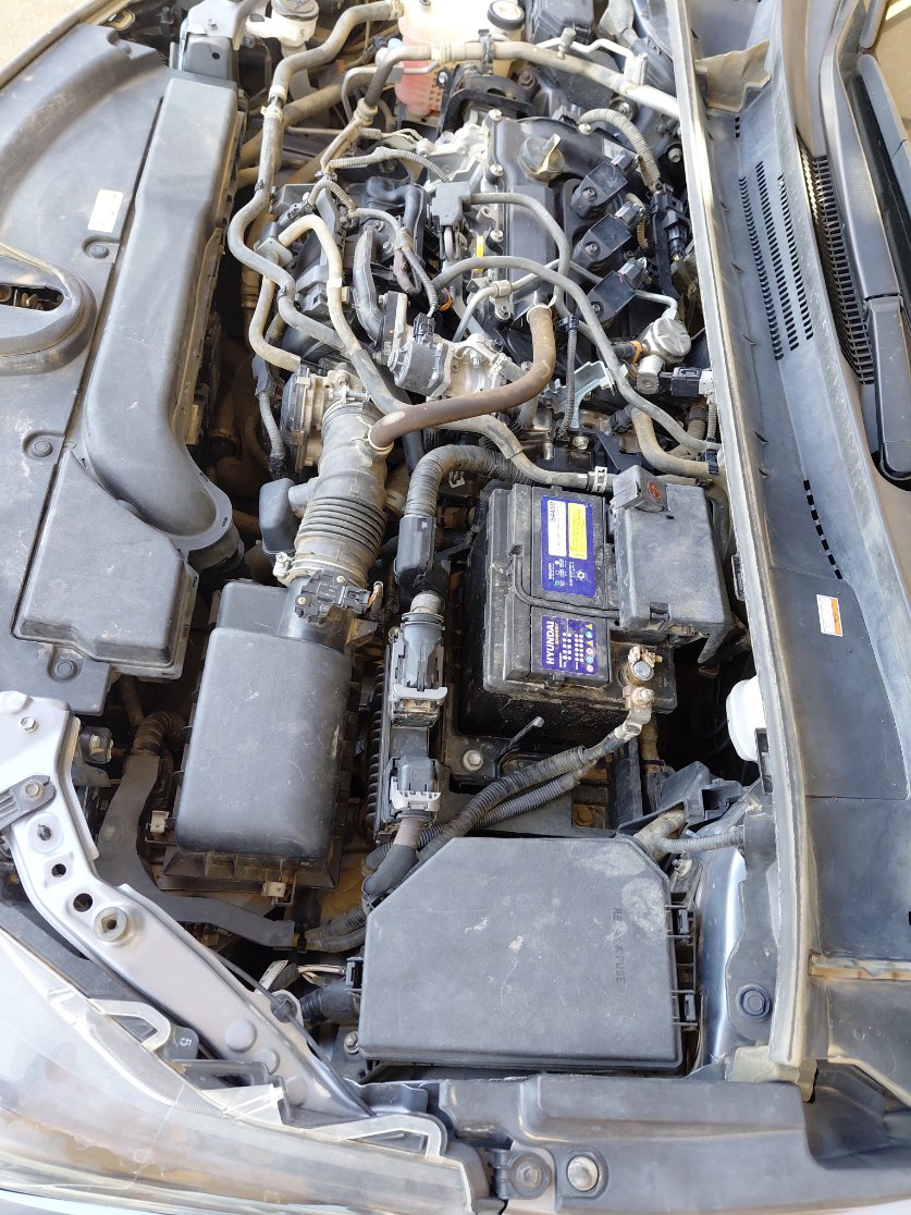 تويوتا كورولا XLI EXE  2022 image