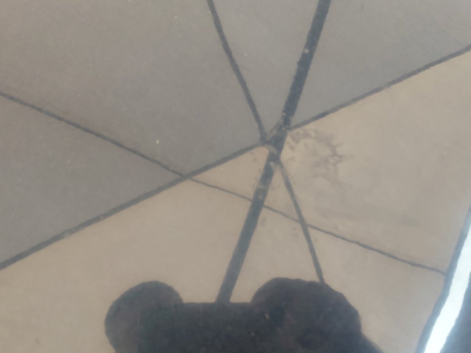 Suzuki Baleno GL 2024 image