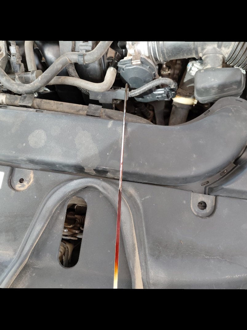 تويوتا كورولا XLI 2021 image