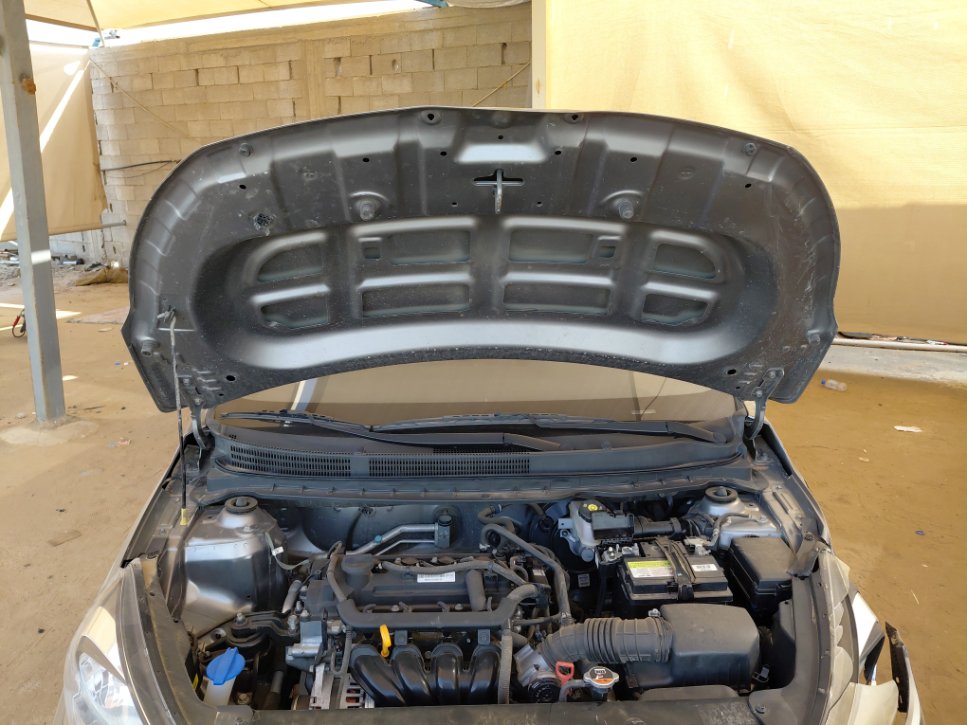 كيا بيجاس FLEET 2022 image