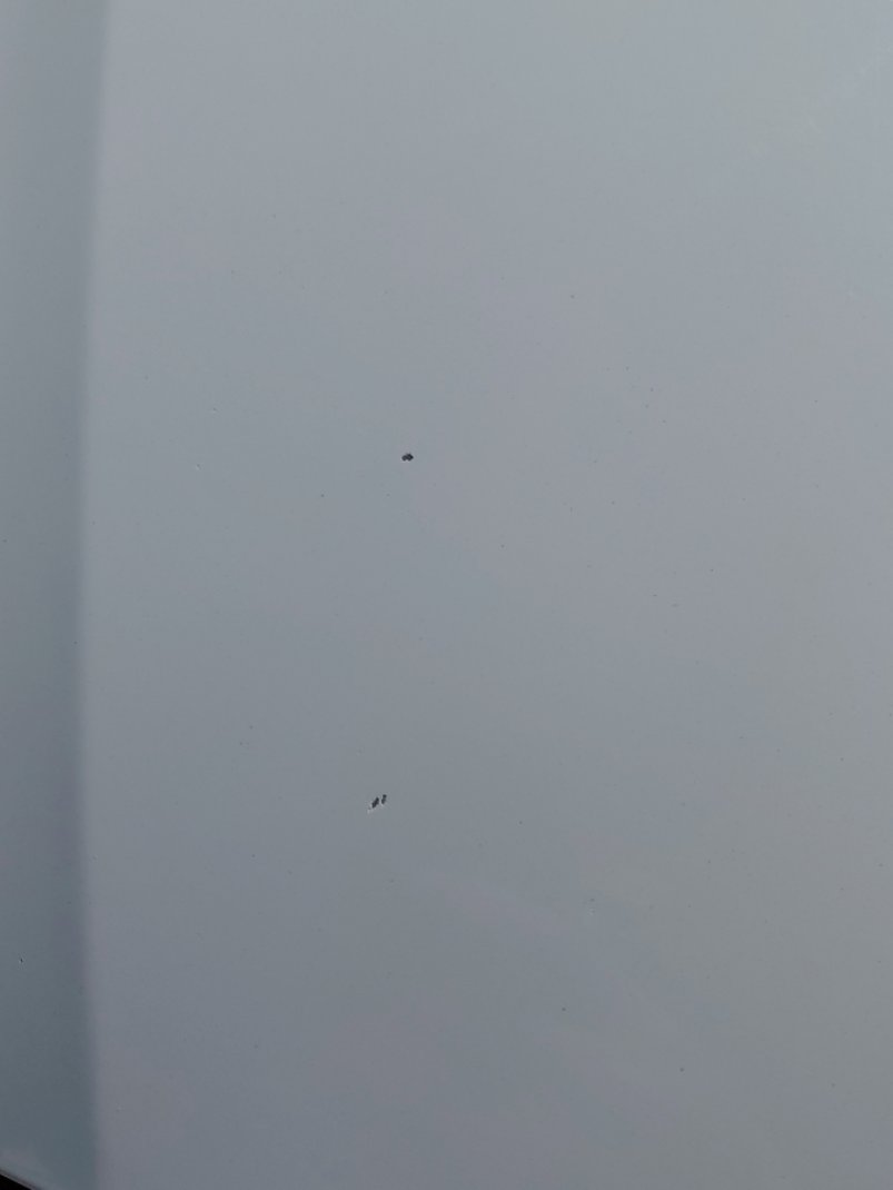 Hyundai Accent SMART  2023 image