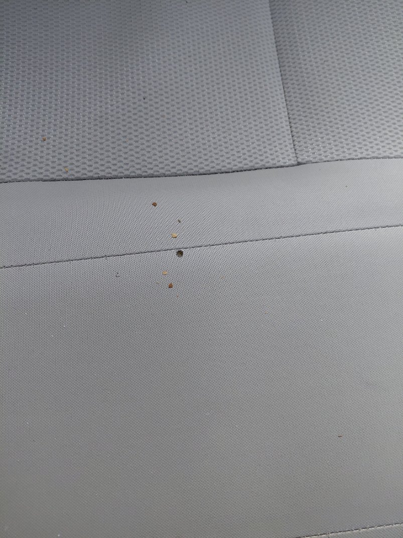 Nissan Sunny SV COMFORT 2023 image