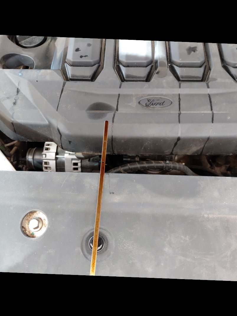 فورد تيرتوري  - رياضية - امبينتي - Ambiente 2024 image