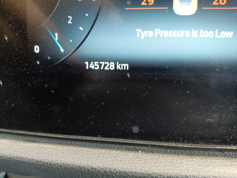 فورد تيرتوري  - رياضية - امبينتي - Ambiente 2024 image