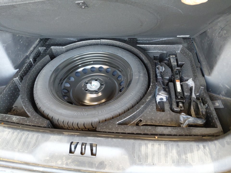 فورد تيرتوري  - رياضية - امبينتي - Ambiente 2024 image