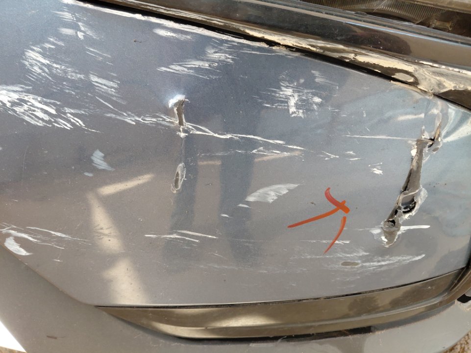 فورد تيرتوري  - رياضية - امبينتي - Ambiente 2024 image