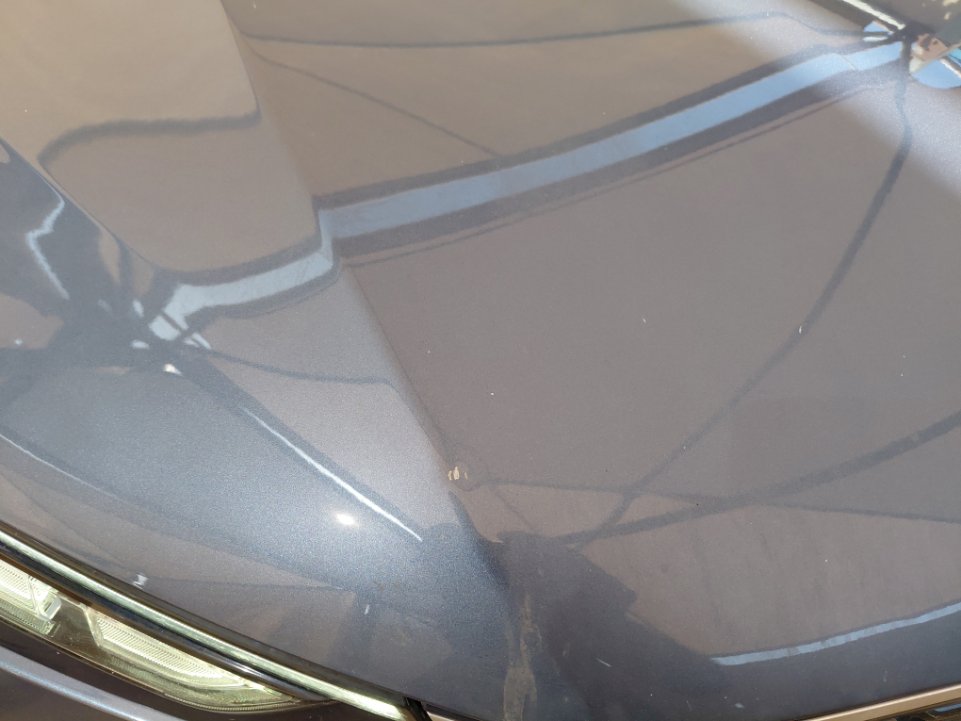 فورد تيرتوري  - رياضية - امبينتي - Ambiente 2024 image