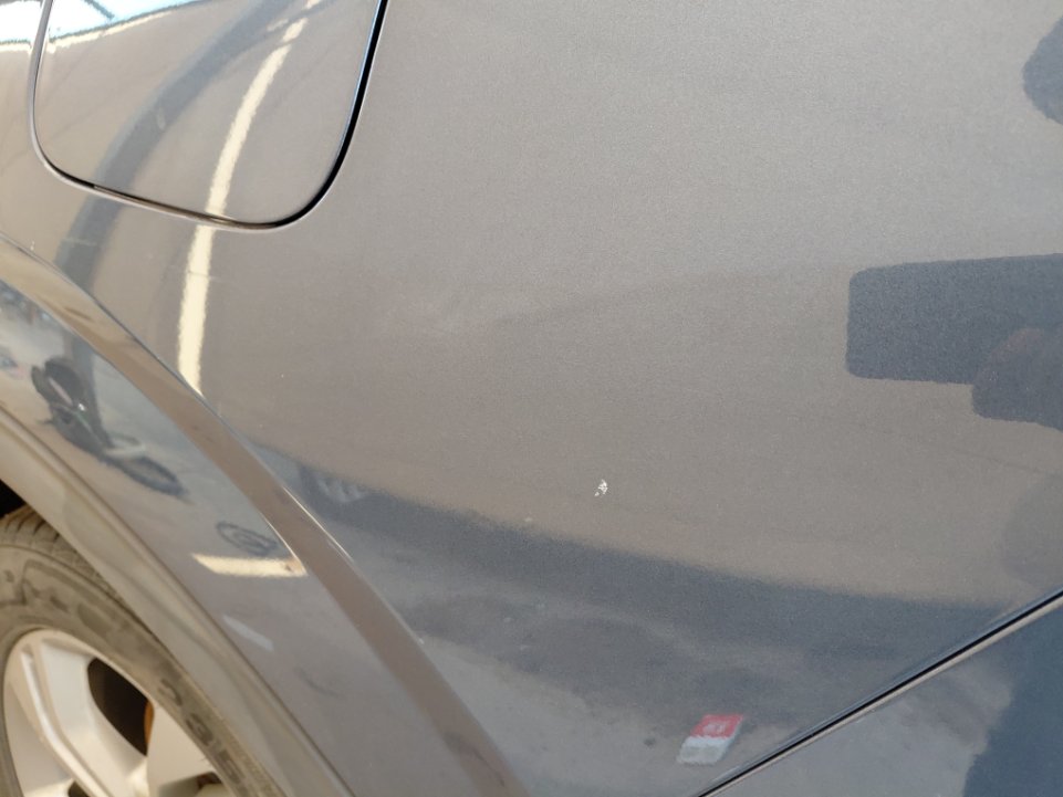 فورد تيرتوري  - رياضية - امبينتي - Ambiente 2024 image