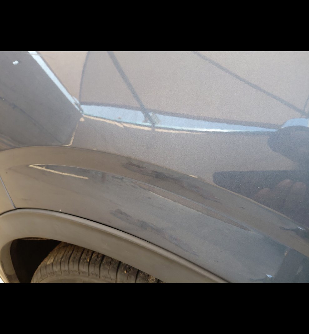 فورد تيرتوري  - رياضية - امبينتي - Ambiente 2024 image