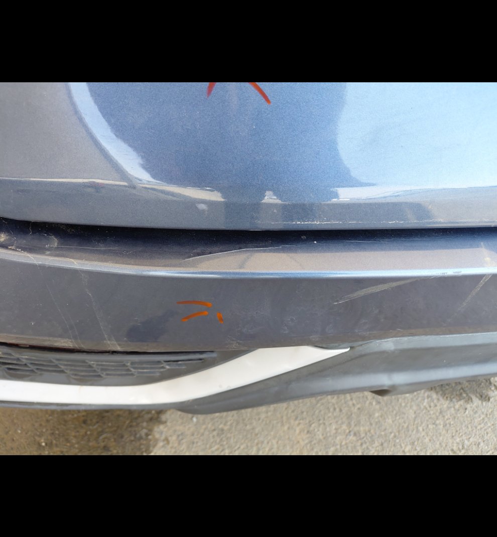 فورد تيرتوري  - رياضية - امبينتي - Ambiente 2024 image