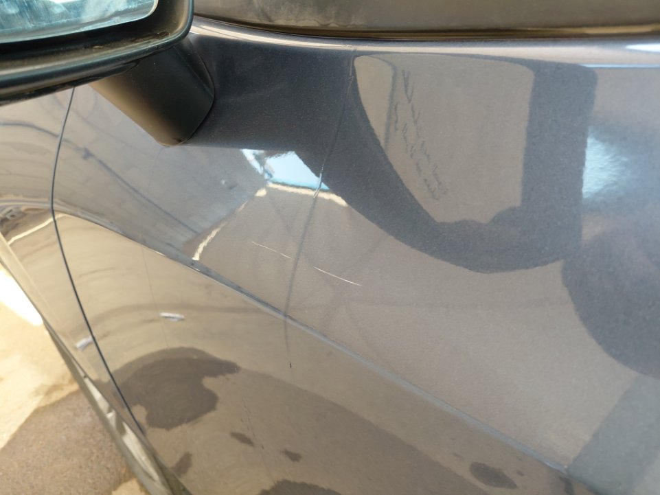 فورد تيرتوري  - رياضية - امبينتي - Ambiente 2024 image