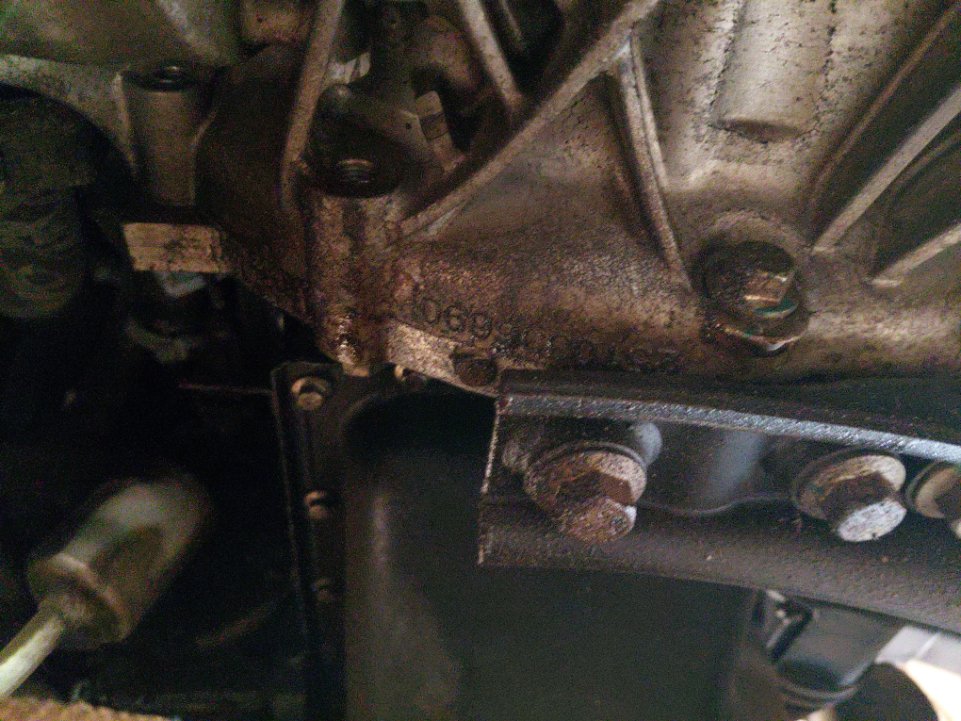 فورد تيرتوري  - رياضية - امبينتي - Ambiente 2024 image