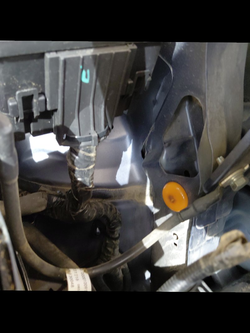 فورد تيرتوري  - رياضية - امبينتي - Ambiente 2024 image